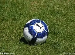 冰雪文创在,哈尔滨崭新,绽放,中国大发彩票网,中国大发彩票网首页,中国大发彩票网首页官方