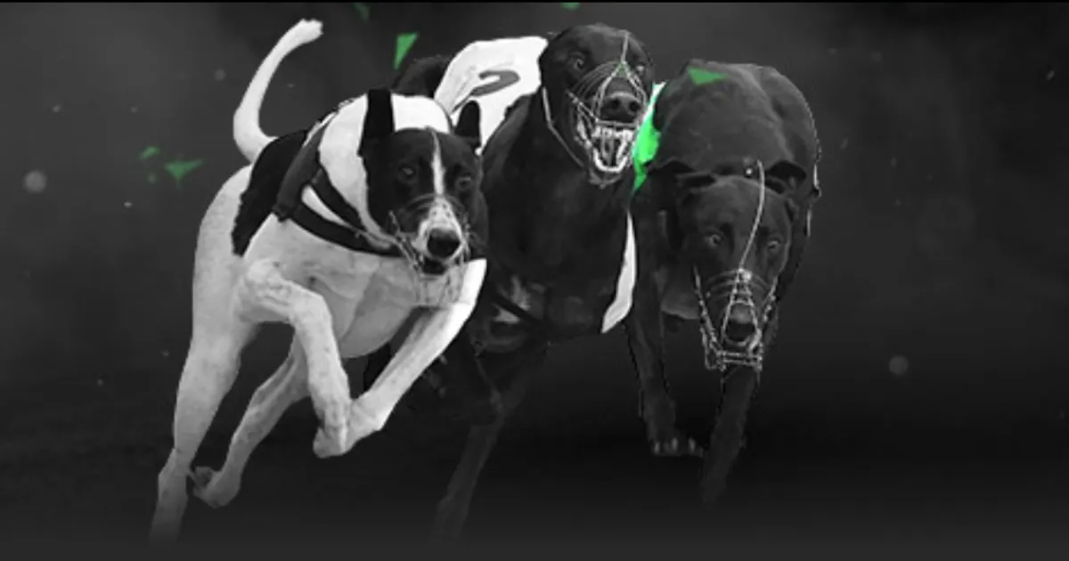 若塔赛季报,克洛普确认,无法出战剩,中国大发彩票网,中国大发彩票网首页,中国大发彩票网首页官方