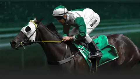 NBA激战连捷！掘金豪取五胜四负，客场挑战再掀三连胜狂潮！