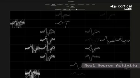 大乐透期号专家推荐：哈兰德或留前场防格伊位置被抢